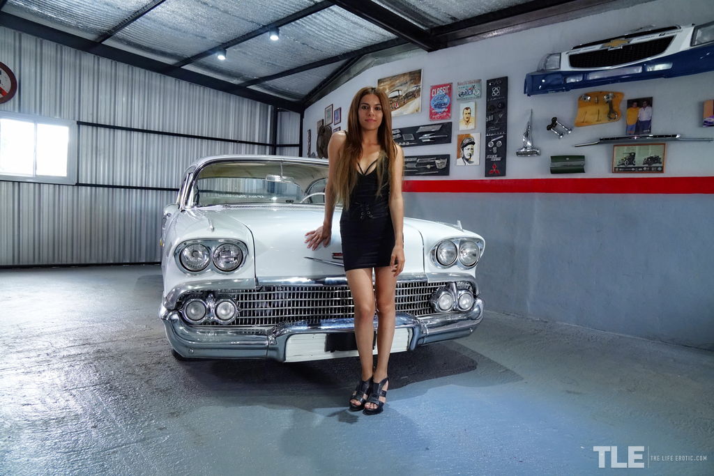 Paloma D